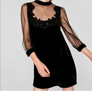 Zara Black Velvet Mini Dress with Details, Size XS - NWT